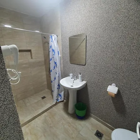 Ok 3* コスティネシュティ